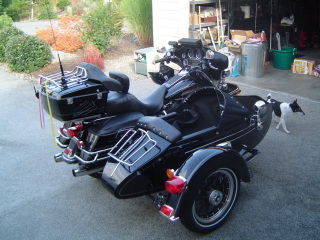 Sidecar for honda shadow #2