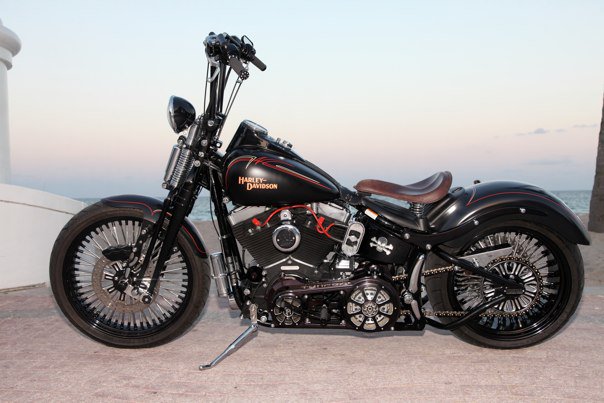 Customized Crossbones