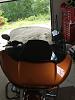 Let me see your road glide windshields-photo962.jpg