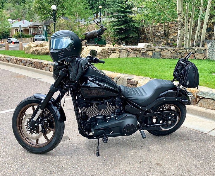 low rider s sissy bar