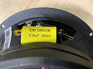 Speaker polarity for DB Drive WDX6MOTO-photo863.jpg