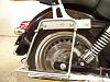 My Fat Street Bob-100_0992.jpg