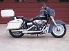 My Fat Street Bob-100_0982.jpg