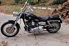 Show off your 06/07 Street Bob-new-bike-pic.jpg