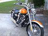 Show off your 06/07 Street Bob-cimg1085.jpg