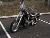 Street bob pics-sb1.jpg