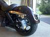 '07 Street Bob Tail Light options-toddscycleplate.jpg