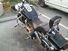 New Fat Bob owner-photo_d9a8bc7c-41ac-853a-b1f3-5106c16b8f1b.jpg