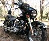 Softail or Dyna? Need your opinion-harley-ii-007.jpg