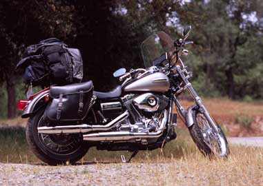 dyna sissy bar bag