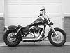 My Street Bob...-cimg0903-640x480.jpg