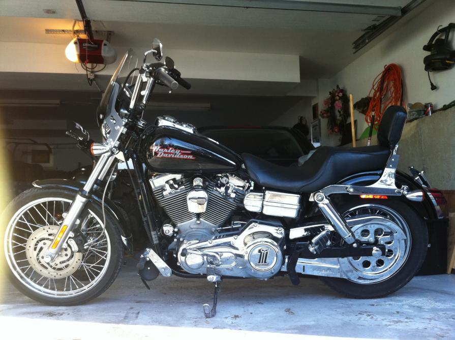 2001 dyna sissy bar