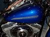 07 Pacific Blue street bob.-100_1105.jpg