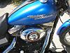 07 Pacific Blue street bob.-p1010026.jpg