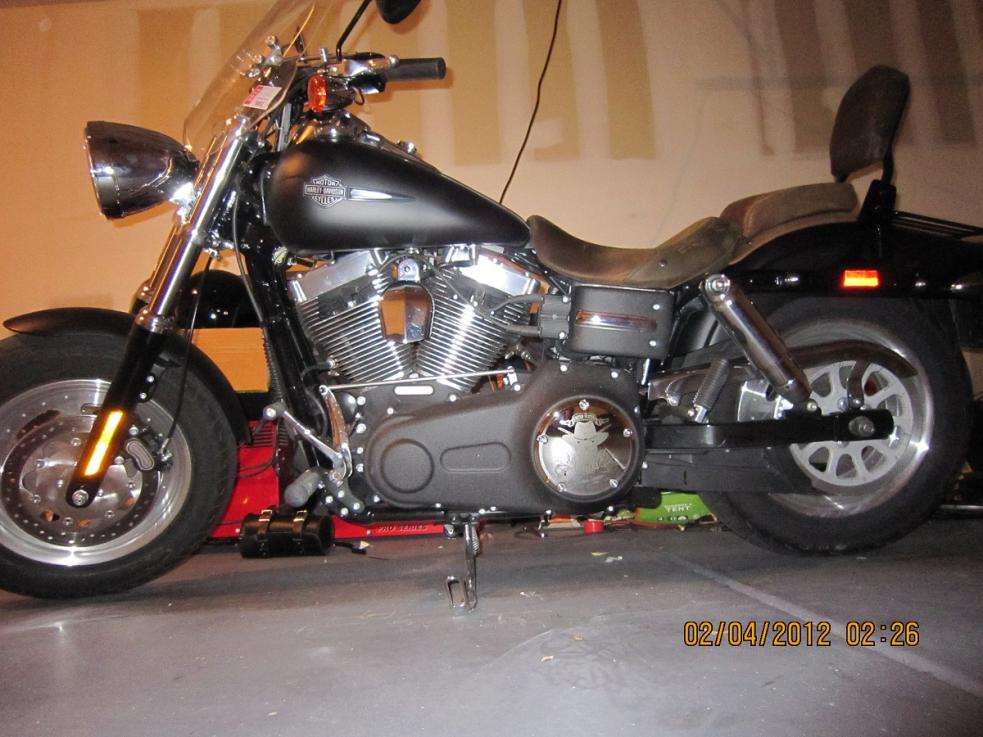 Sissybar/luggage rack on FatBob Harley Davidson Forums