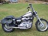 Lets See Your Super Glide Custom Pics!-100_2163.jpg