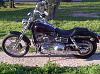 Lets See Your Super Glide Custom Pics!-texas-city-league-city-20120304-00497.jpg