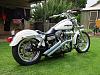 Lets See Your Super Glide Custom Pics!-img_2869.jpg