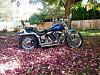 Dyna vs Softail-p1010379.jpg