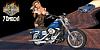 All Dyna Rider's---Let's see your age!-70mach1try2copy-1-.jpg