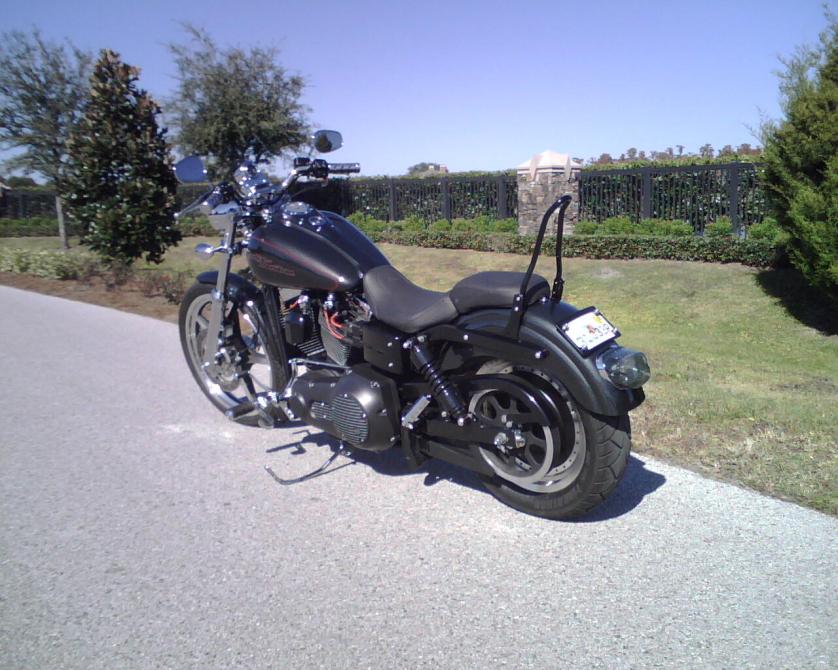 harley davidson street bob sissy bar