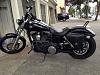 NEW Badg Custom Bag for Dyna Wide Glide-bag2hdf.jpg