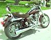 2011 superglide-brown-rooti-002.jpg