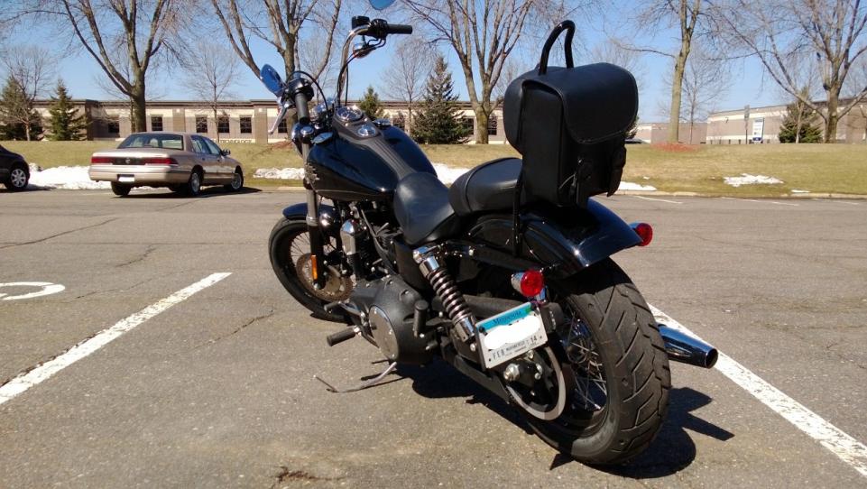 dyna sissy bar bag