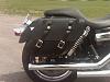 Foxcreek Dyna Low Rider saddlebags.  Anyone using them without supports?-img00523-20130622-1216.jpg