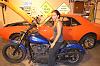 Progressive lowering kit on FXDWG Forks-lowered-bike.jpg