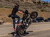 Dyna wheelies-image.jpg