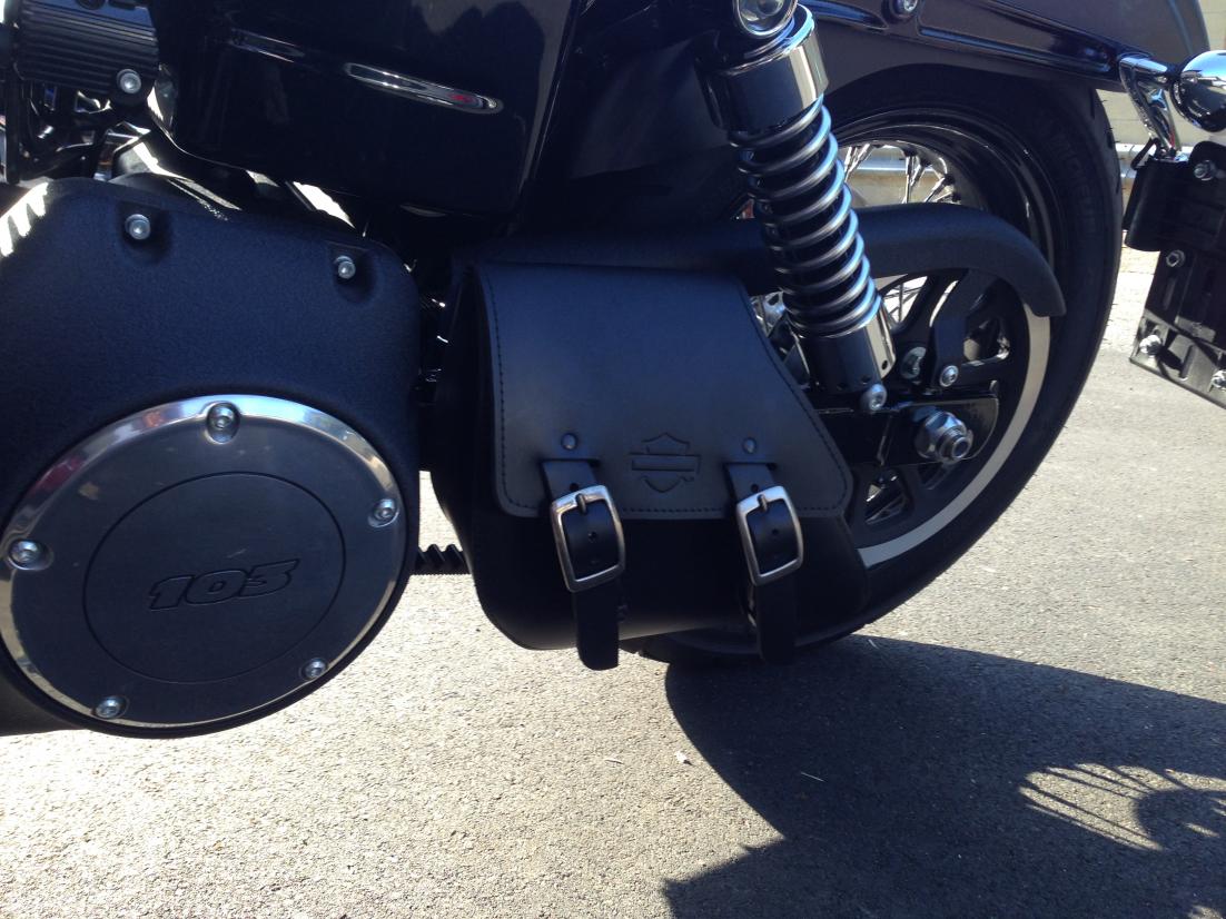 sportster swingarm bag with passenger pegs