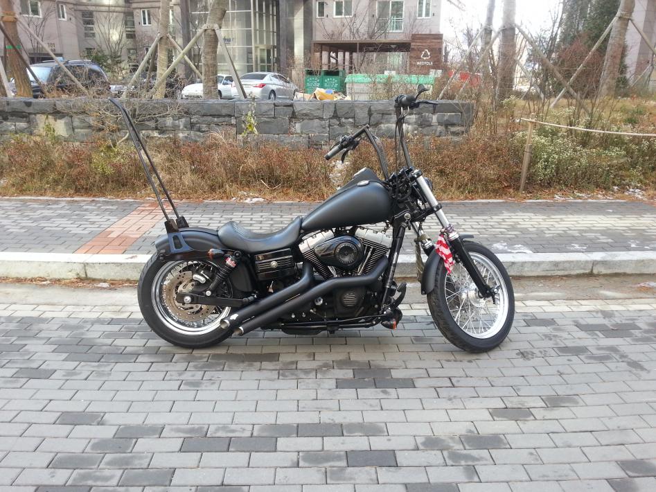 sissy bar harley street bob