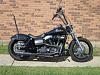 Sissy bar on Street Bob with solo seat?-badbob3resize.jpg