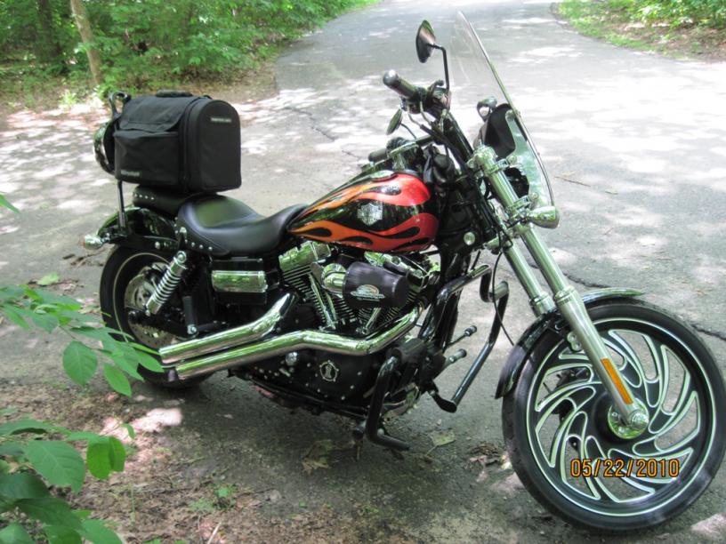 dyna sissy bar bag