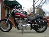 Show me some saddlebags! (request for pics)-dscn2121.jpg