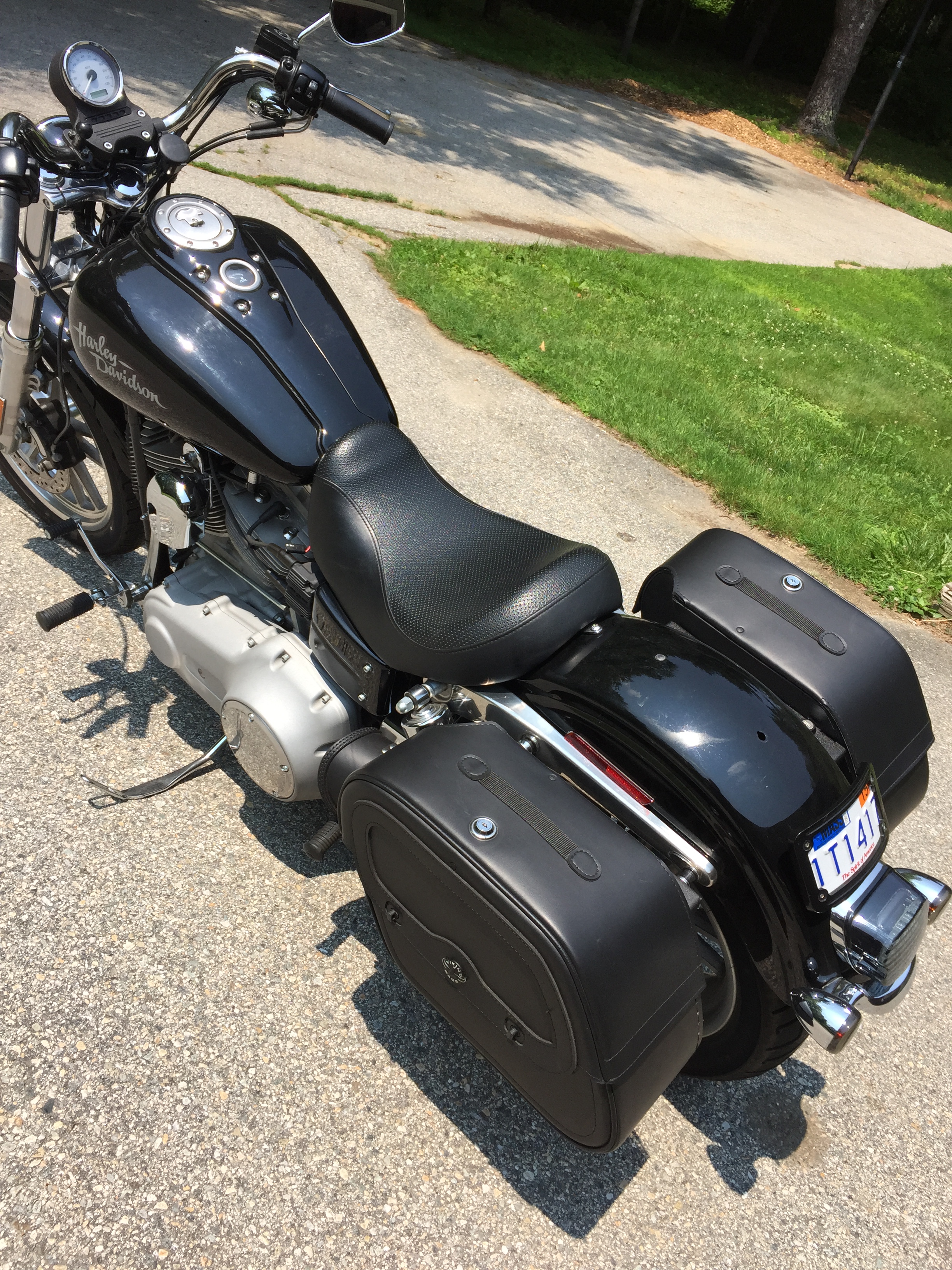 dyna viking bags