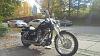 Raked triple trees on a dyna-img_20151025_114840.jpg