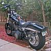 Apes on my Dyna-dyna-with-apes-2.jpg