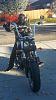 Apes on my Dyna-photo662.jpg