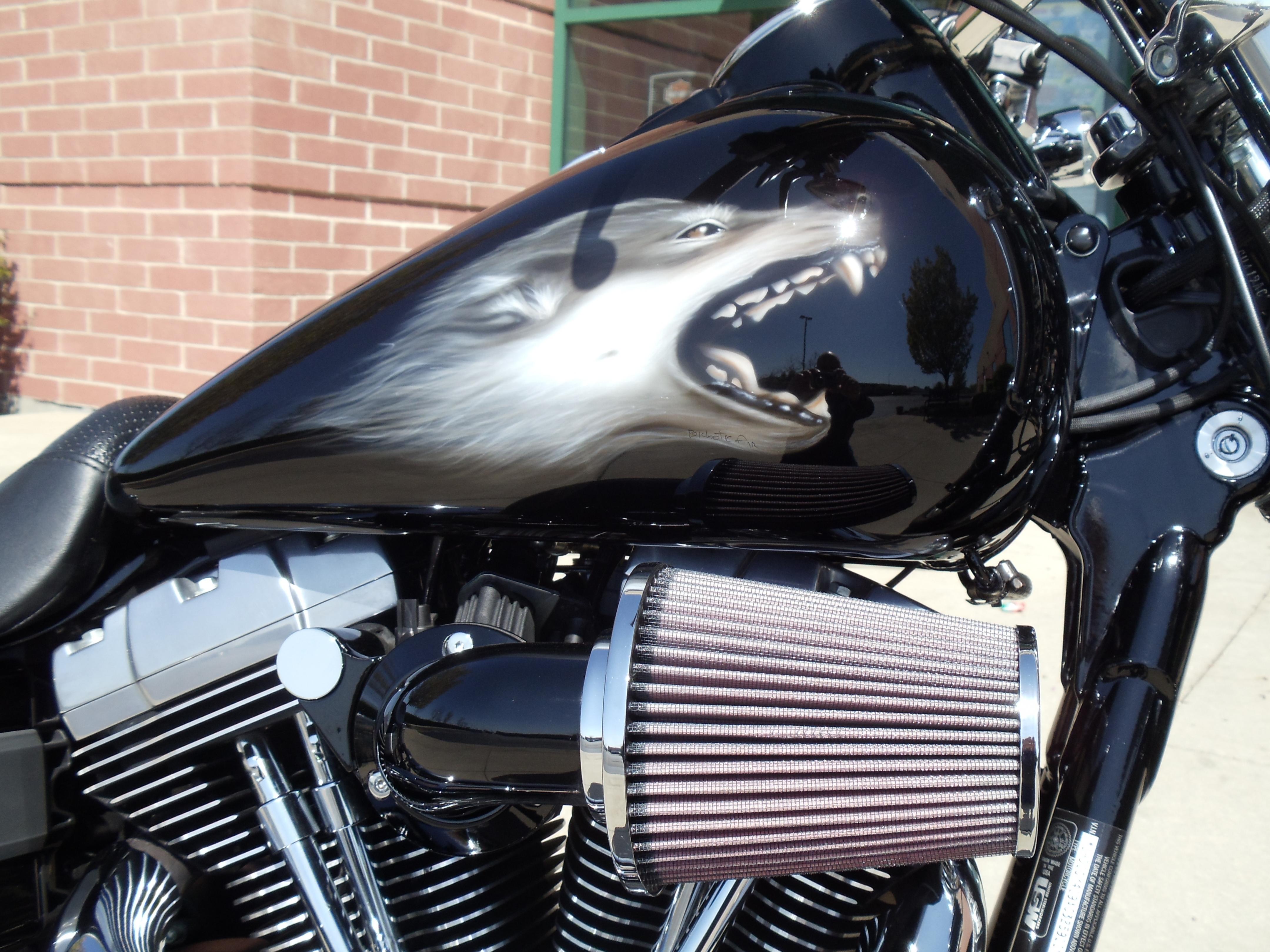 Lets See The Custom Paint Jobs On Your Dyna S Harley Davidson Forums