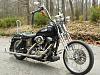 Sissy bar pictures-apes184.jpg