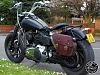 Sissy bar vs saddlebags-br1007b_bike.jpg