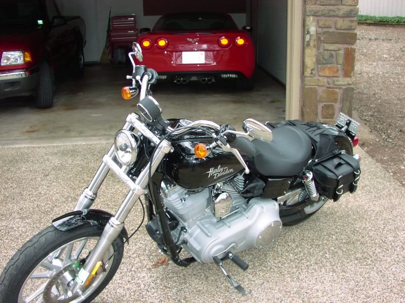 throw over saddle bags with solo seat Harley Davidson Forums