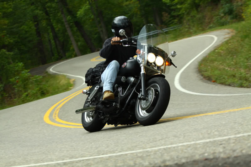 Harley fat deals bob windshield