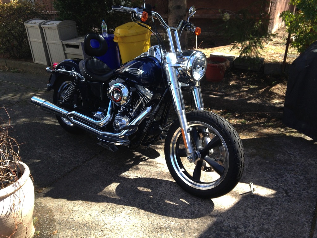 Street Bob T Bars - Page 2 - Harley Davidson Forums