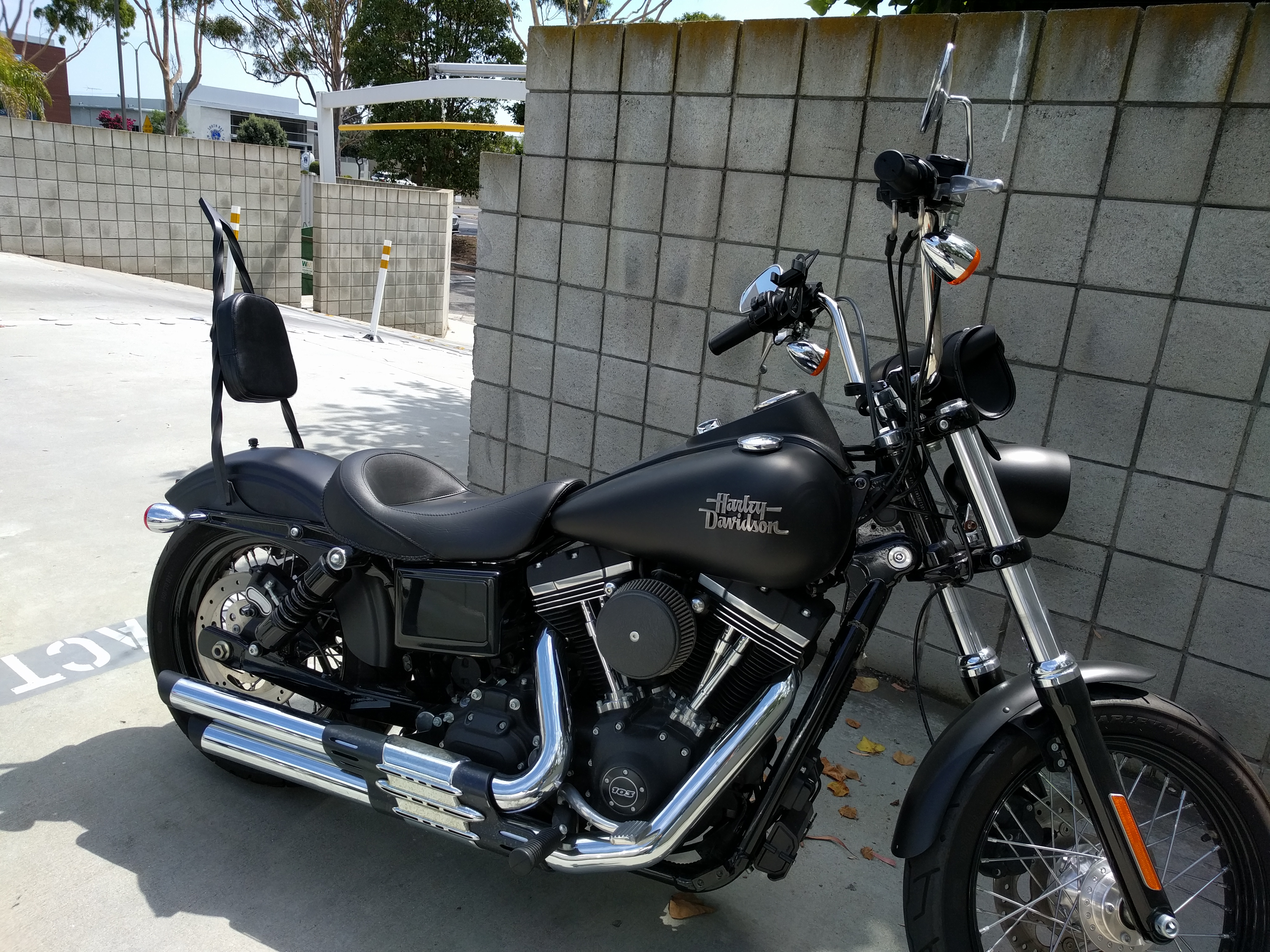 dyna street bob sissy bar