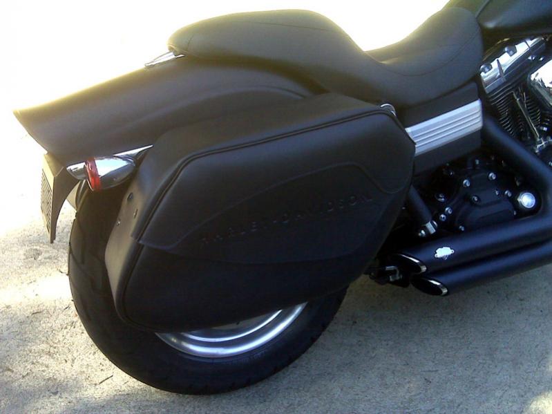 dyna quick release saddlebags