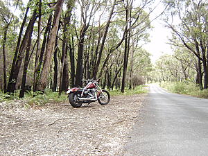  Wide Glide Roll Call-p9180021.jpg