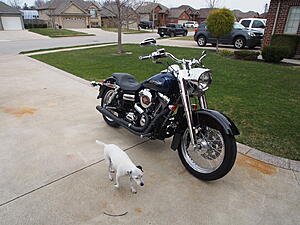 2012 SuperGlide Custom - putting the custom back-pfjxjof.jpg